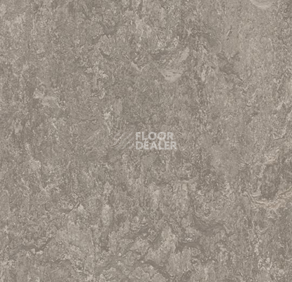 Кварцвиниловые полы Marmoleum Modular t3146 serene grey фото 1 | FLOORDEALER